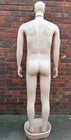 Male Full Body Mannequin Realistic Dummy Display Stand