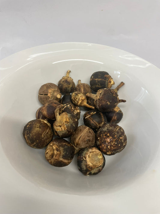 Gorontula Dried Fruit – African Chewing Fruit – 160g Pack