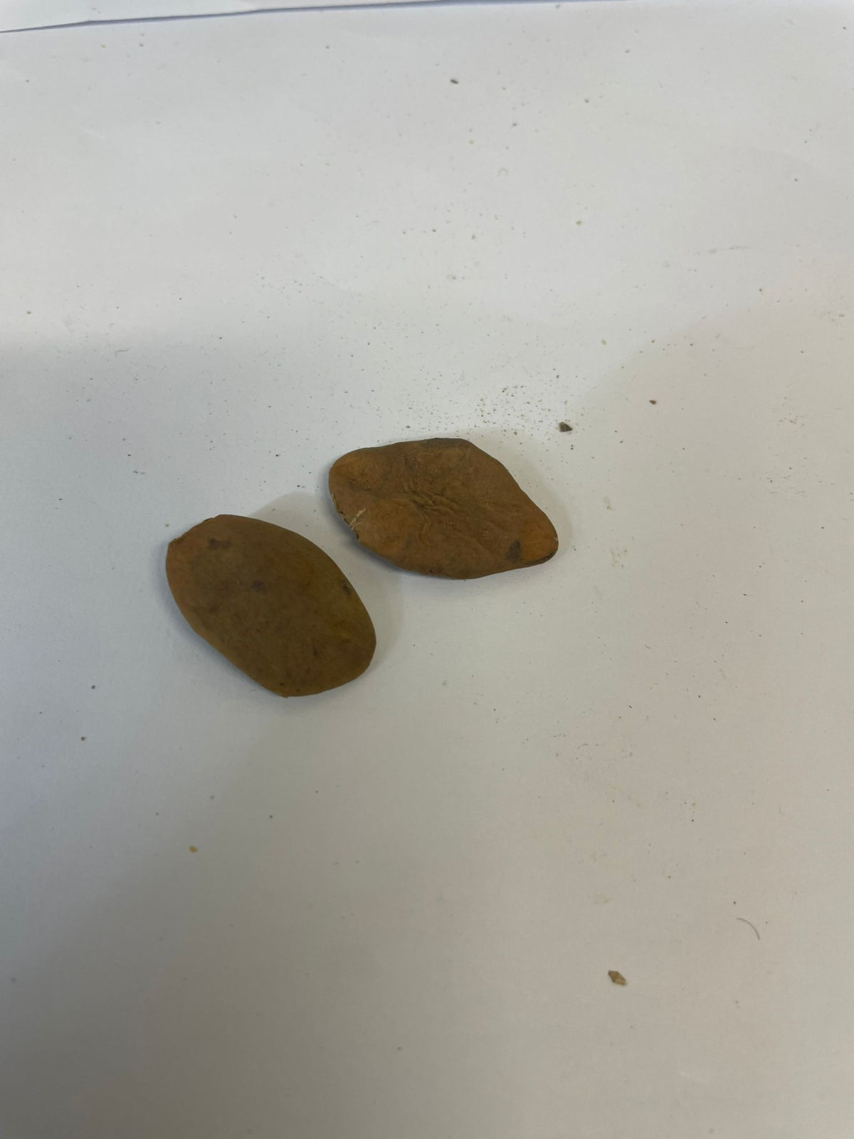 Abere Seeds – Traditional African Dried Seeds – 180g