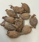 10 Whole Atare Pods (Alligator Pepper) – Premium Quality – African Spice