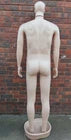 Male Full Body Mannequin Realistic Dummy Display Stand
